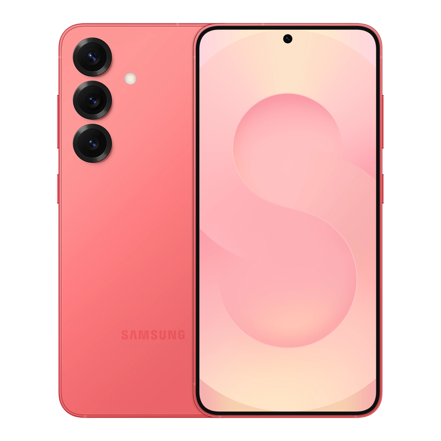 S25 coral 1