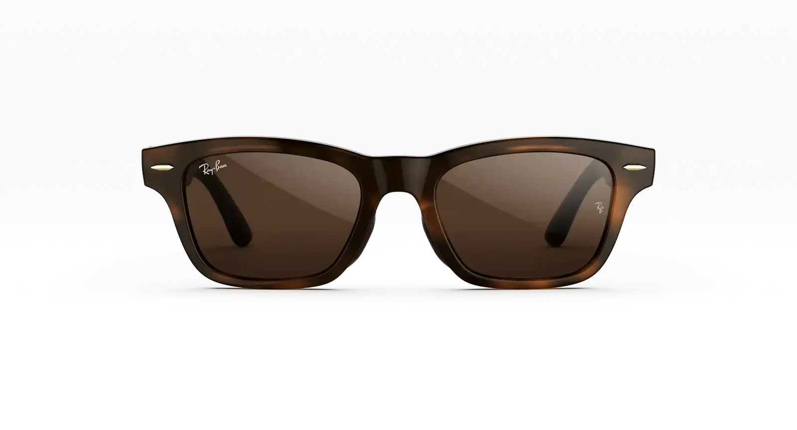Burbank Havana Transitions Brown 2