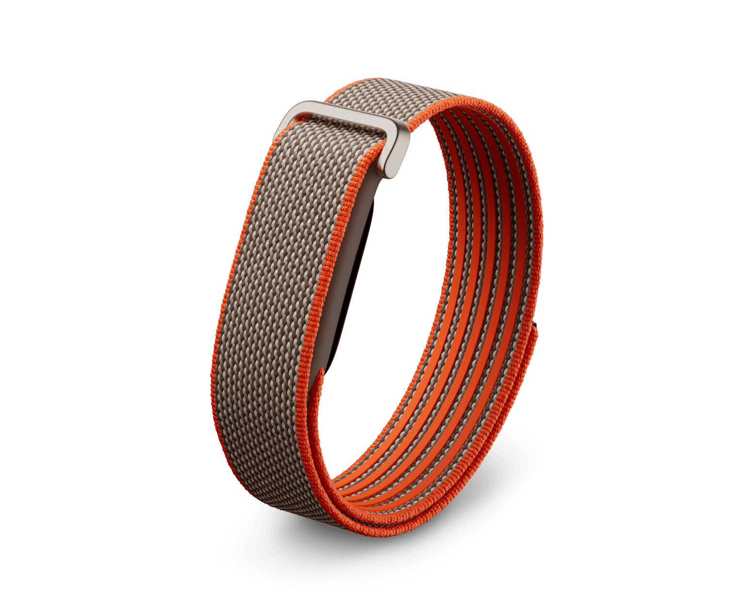 Google FitBit Air (Rye)