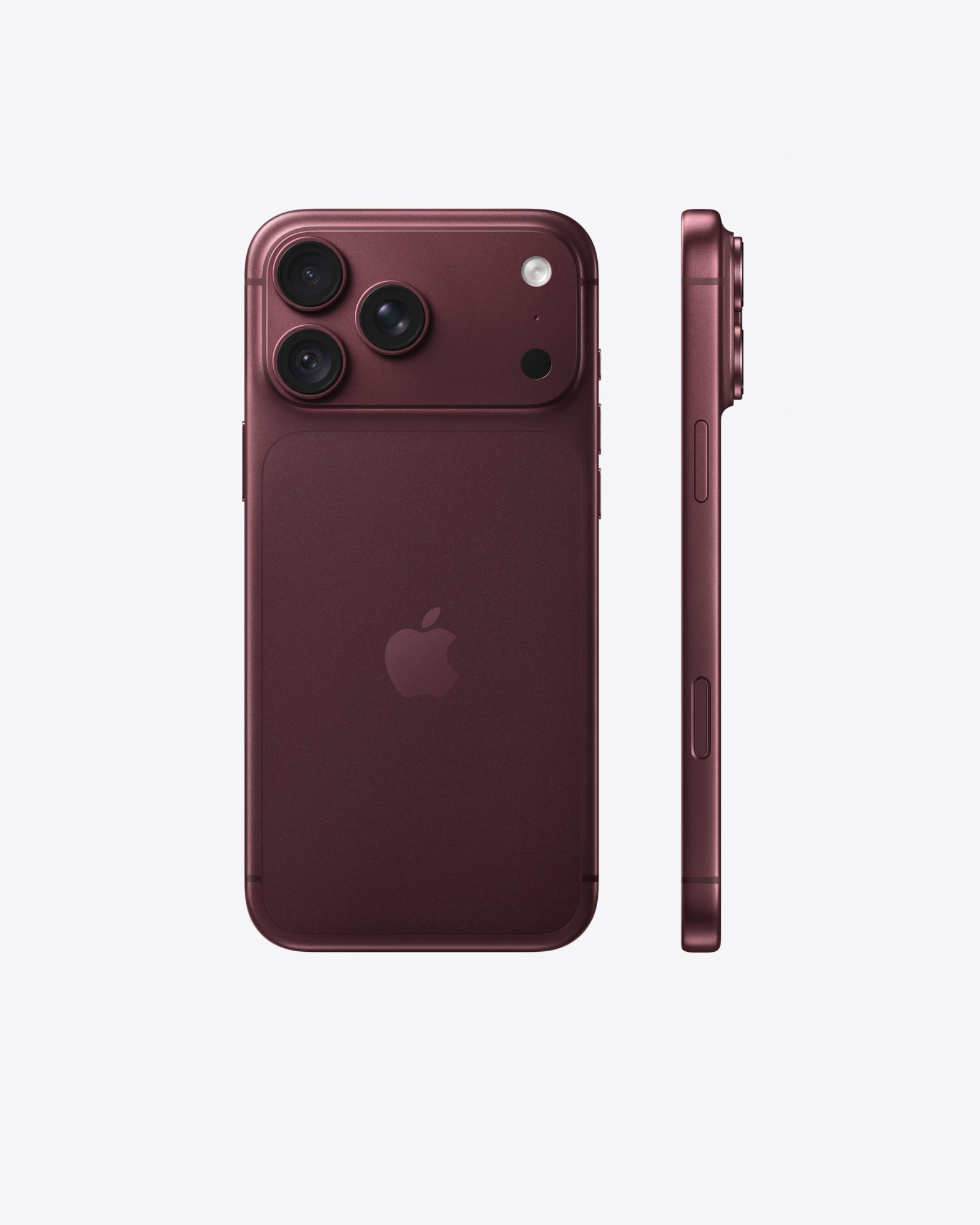 Max Burgundy 2