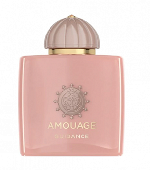 Amouage Guidance