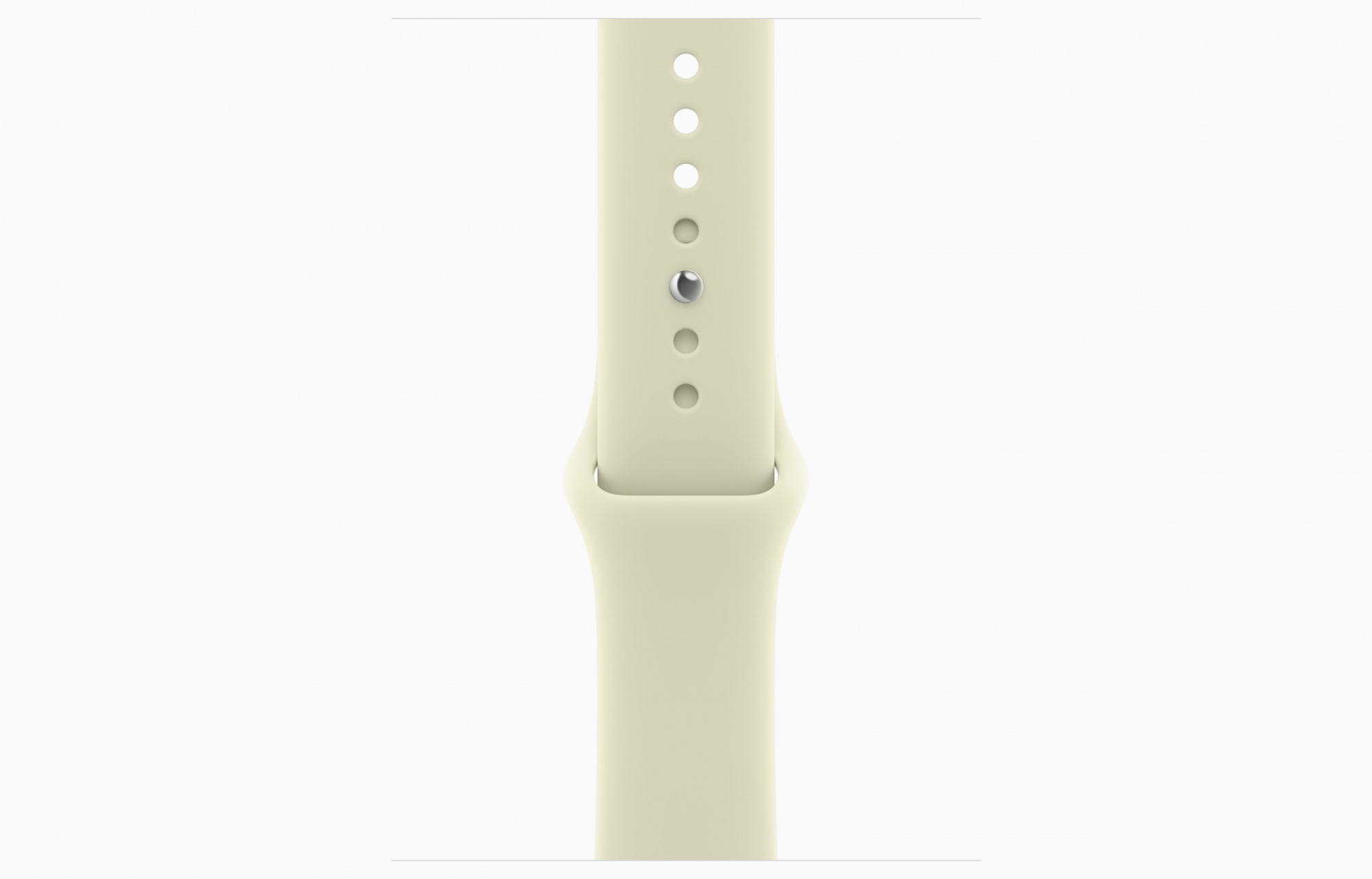 Dark Bronze Sport Band Pale Succulent 3