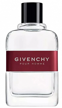 Givenchy Pour Homme